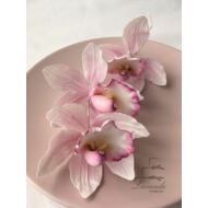 Rózsaszín orchidea csomag - csak személyes átvétel Budapesten