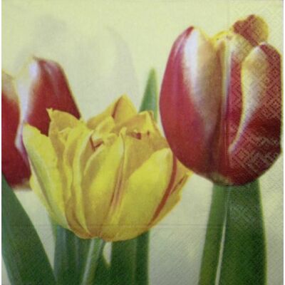 Szalvéta-Piros sárga tulipánok
