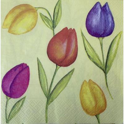 Szalvéta-Színes tulipánok